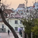 青岛旅游 缩略图 5