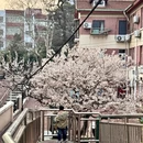 青岛旅游 缩略图 1