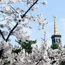大连旅游 缩略图 1