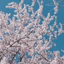 大连旅游 缩略图 2