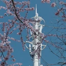 大连旅游 缩略图 6