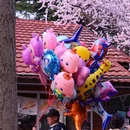 大连旅游 缩略图 2