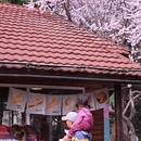 大连旅游 缩略图 3