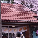大连旅游 缩略图 4