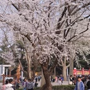 大连旅游 缩略图 18