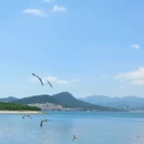 大连旅游 缩略图 3