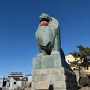 大连旅游 缩略图 2