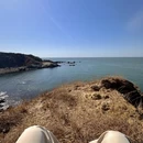大连旅游 缩略图 13