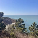 大连旅游 缩略图 11