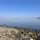 大连旅游 缩略图 12