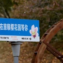 大连旅游 缩略图 8