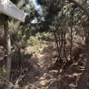 大连旅游 缩略图 10