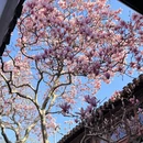 苏州旅游 缩略图 1