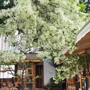 成都旅游 缩略图 4