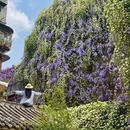 成都旅游 缩略图 1