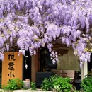 成都旅游 缩略图 6