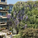 成都旅游 缩略图 6