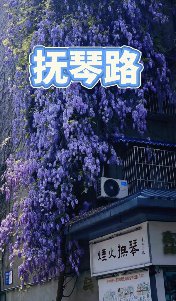 成都旅游
