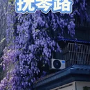 成都旅游 缩略图 1
