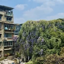 成都旅游 缩略图 12