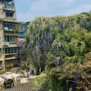 成都旅游 缩略图 13