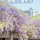 成都旅游 缩略图 5