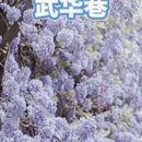 成都旅游 缩略图 2
