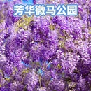 成都旅游 缩略图 3
