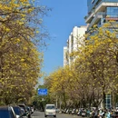 成都旅游 缩略图 2