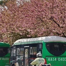 成都旅游 缩略图 3