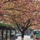成都旅游 缩略图 4