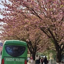 成都旅游 缩略图 6