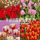 武汉旅游 缩略图 1