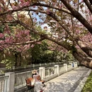 成都旅游 缩略图 9