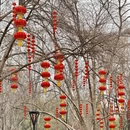 武汉旅游 缩略图 15