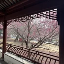 青岛旅游 缩略图 1