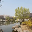 青岛旅游 缩略图 8