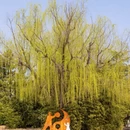 青岛旅游 缩略图 9