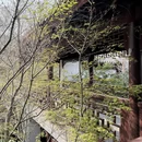 青岛旅游 缩略图 6