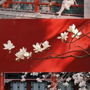 北京旅游 缩略图 2