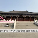 青岛旅游 缩略图 3