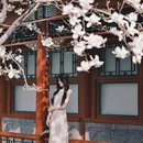 北京旅游 缩略图 7