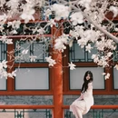 北京旅游 缩略图 10