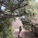 青岛旅游 缩略图 4