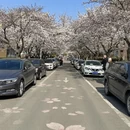 青岛旅游 缩略图 1
