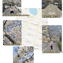 青岛旅游 缩略图 3
