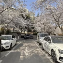 青岛旅游 缩略图 4