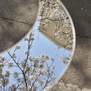 青岛旅游 缩略图 2