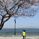 大连旅游 缩略图 4