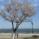 大连旅游 缩略图 2